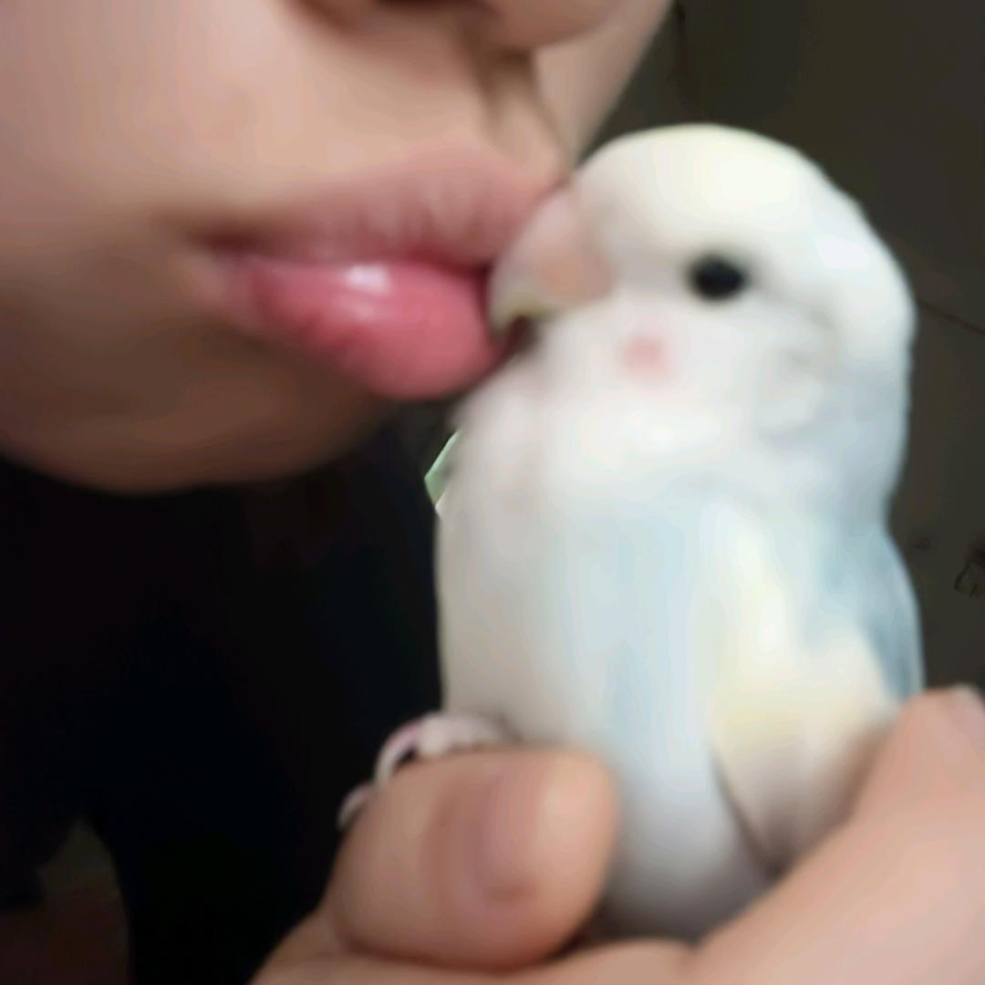 lq_hhh🦜