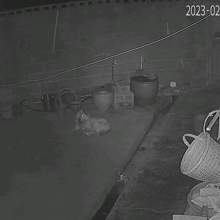 解放石家庄
