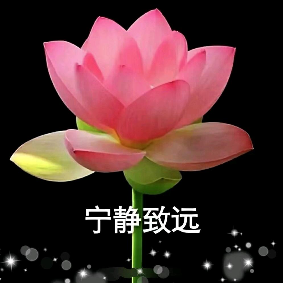 美丽的家乡