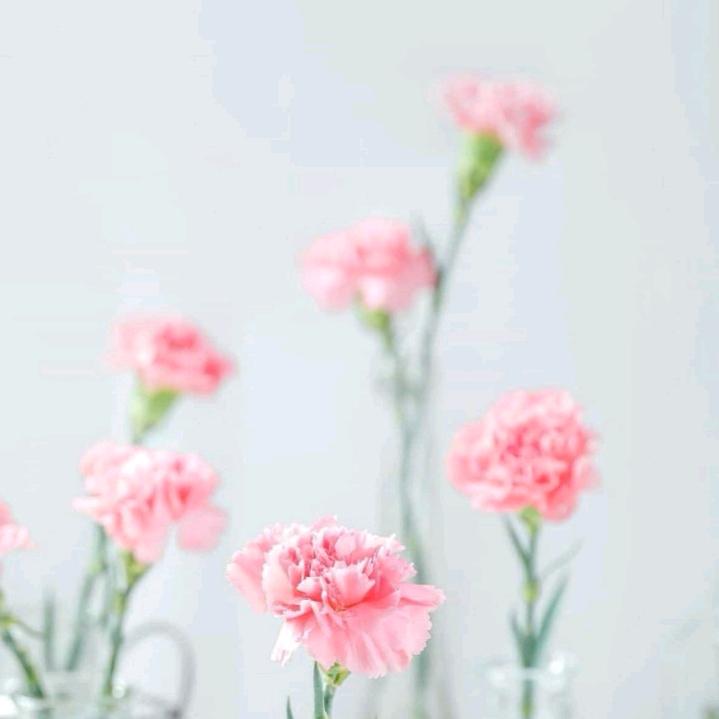 红苹果