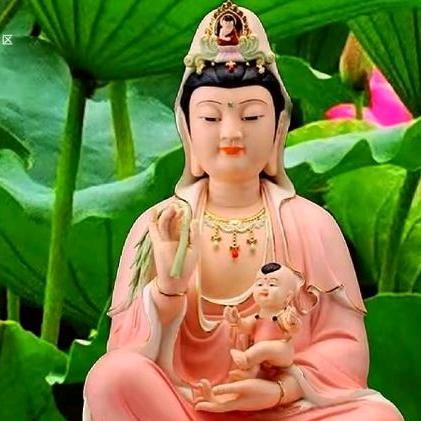 木🌿念🐍哥🧚‍♀️