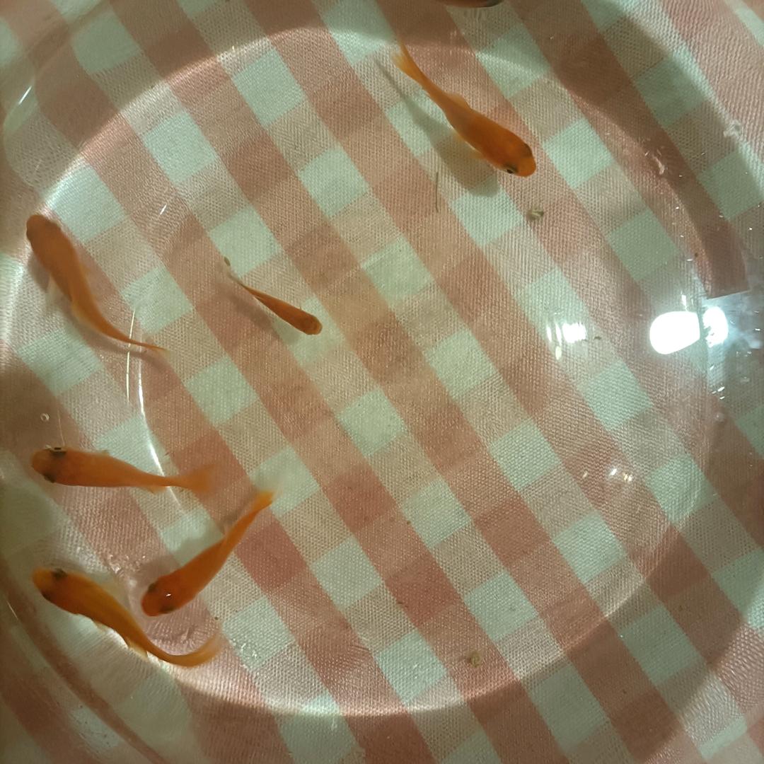 不负韶华