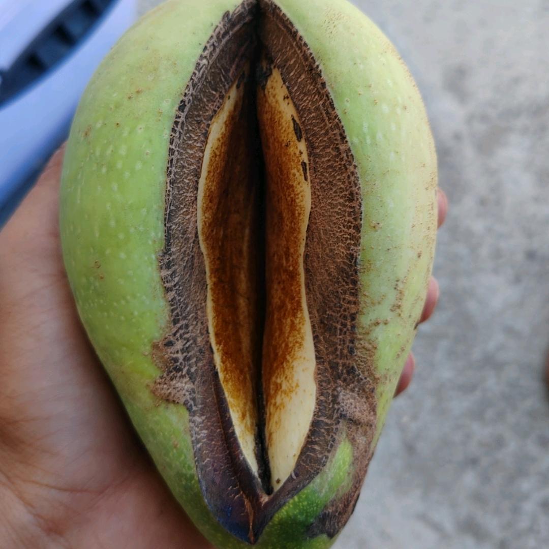 三亚金芒臻选坊