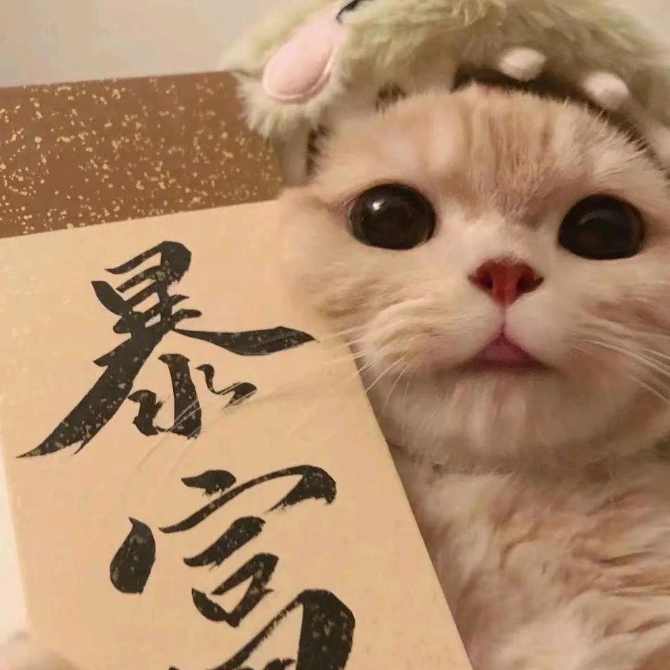 晴姐心说