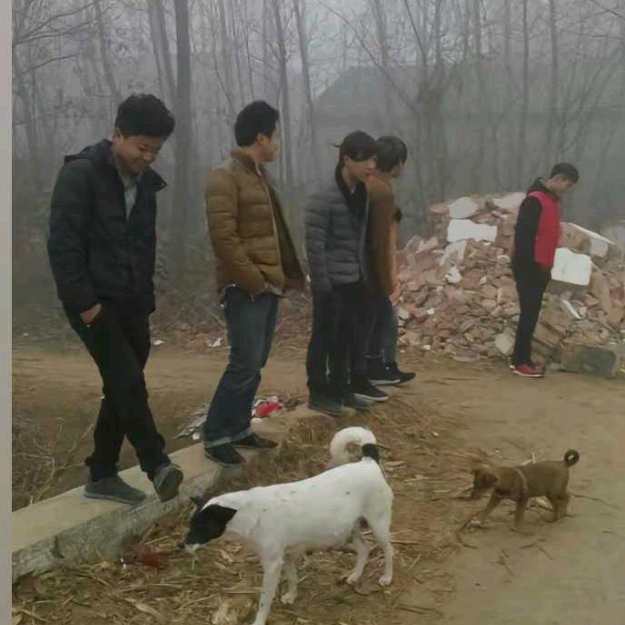 小宇