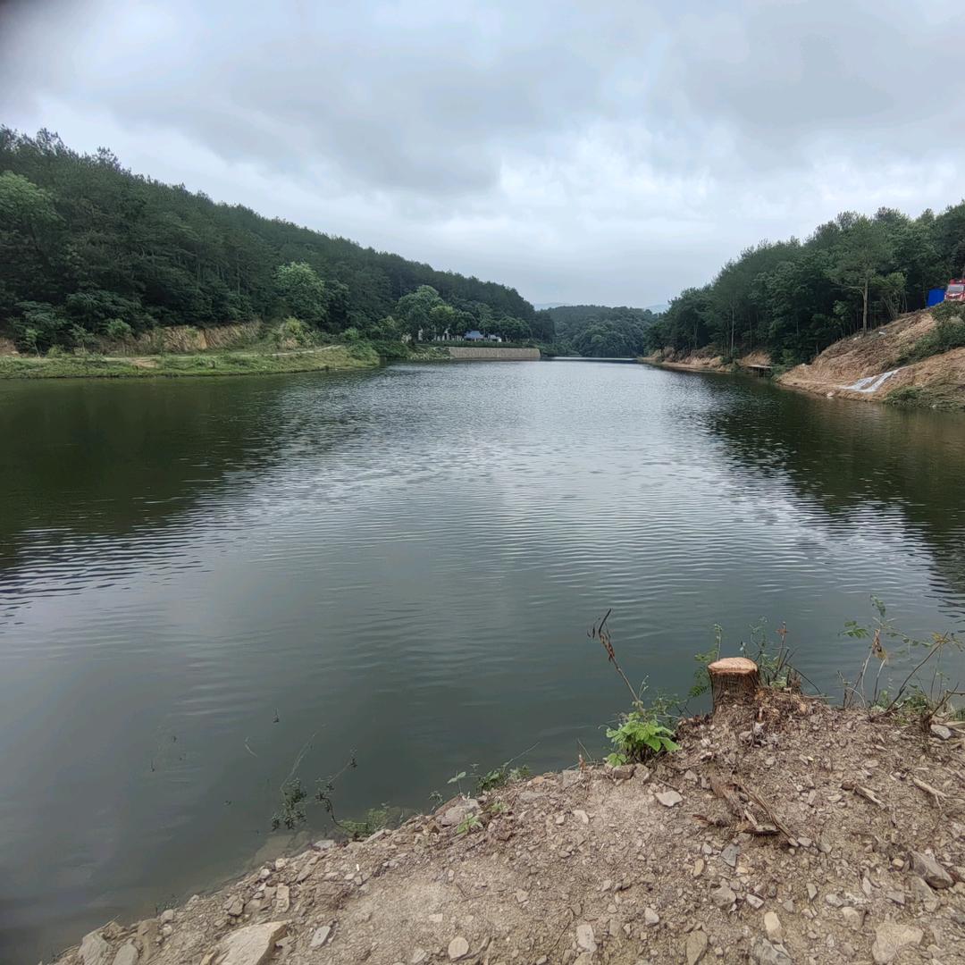 渔鑫休闲钓场