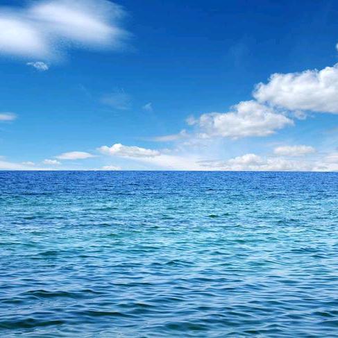 浪子