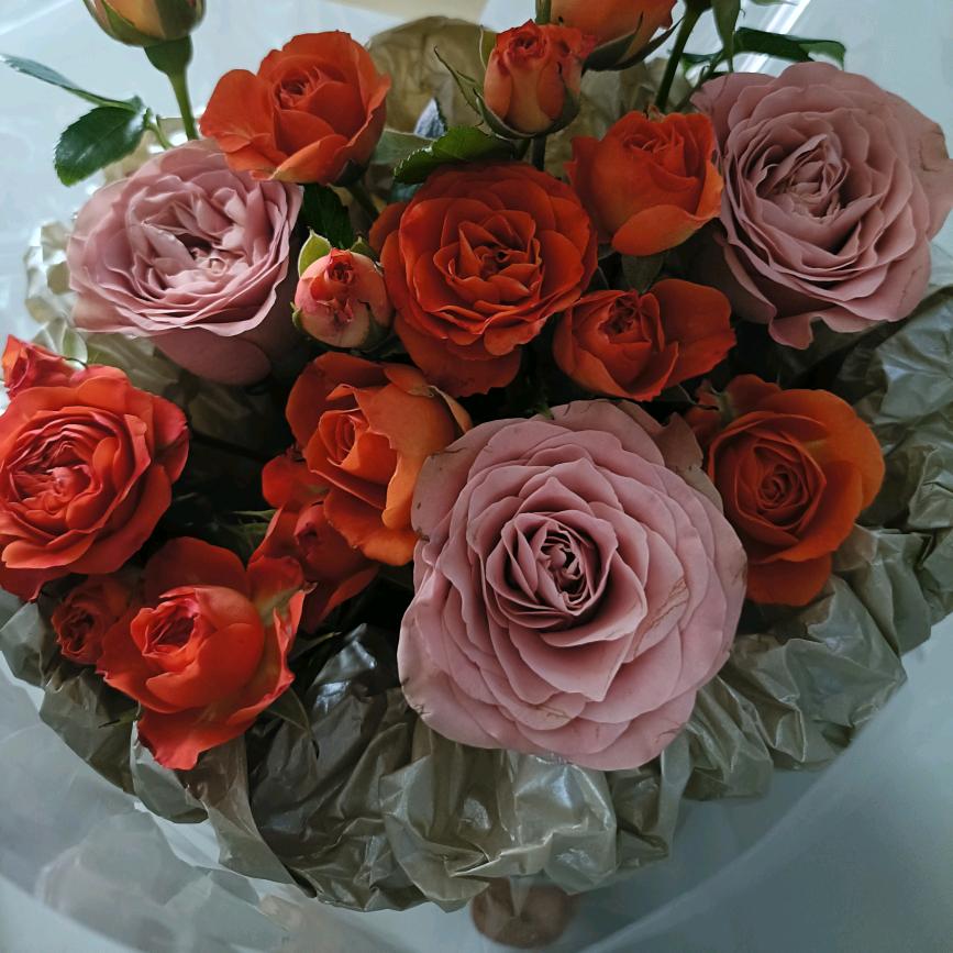 平静👨‍👩‍👧‍👦幸福