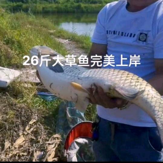 大乐屯郭五鱼塘