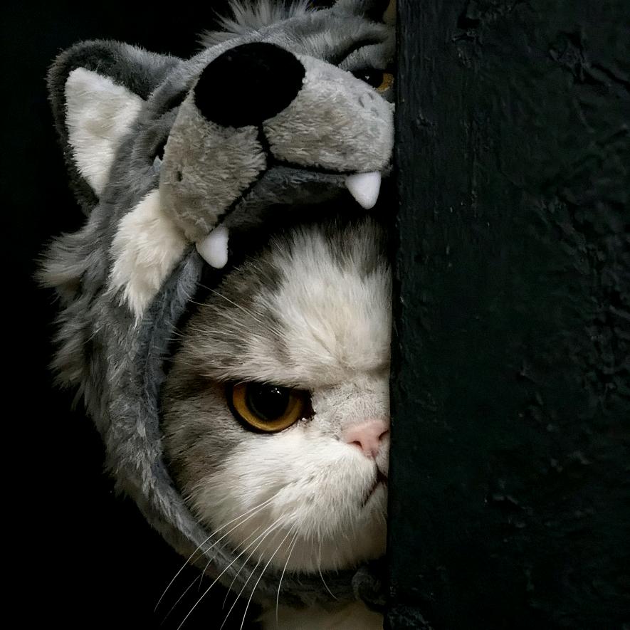 Y.Z.²⁰²⁴⁰⁹⁰⁹