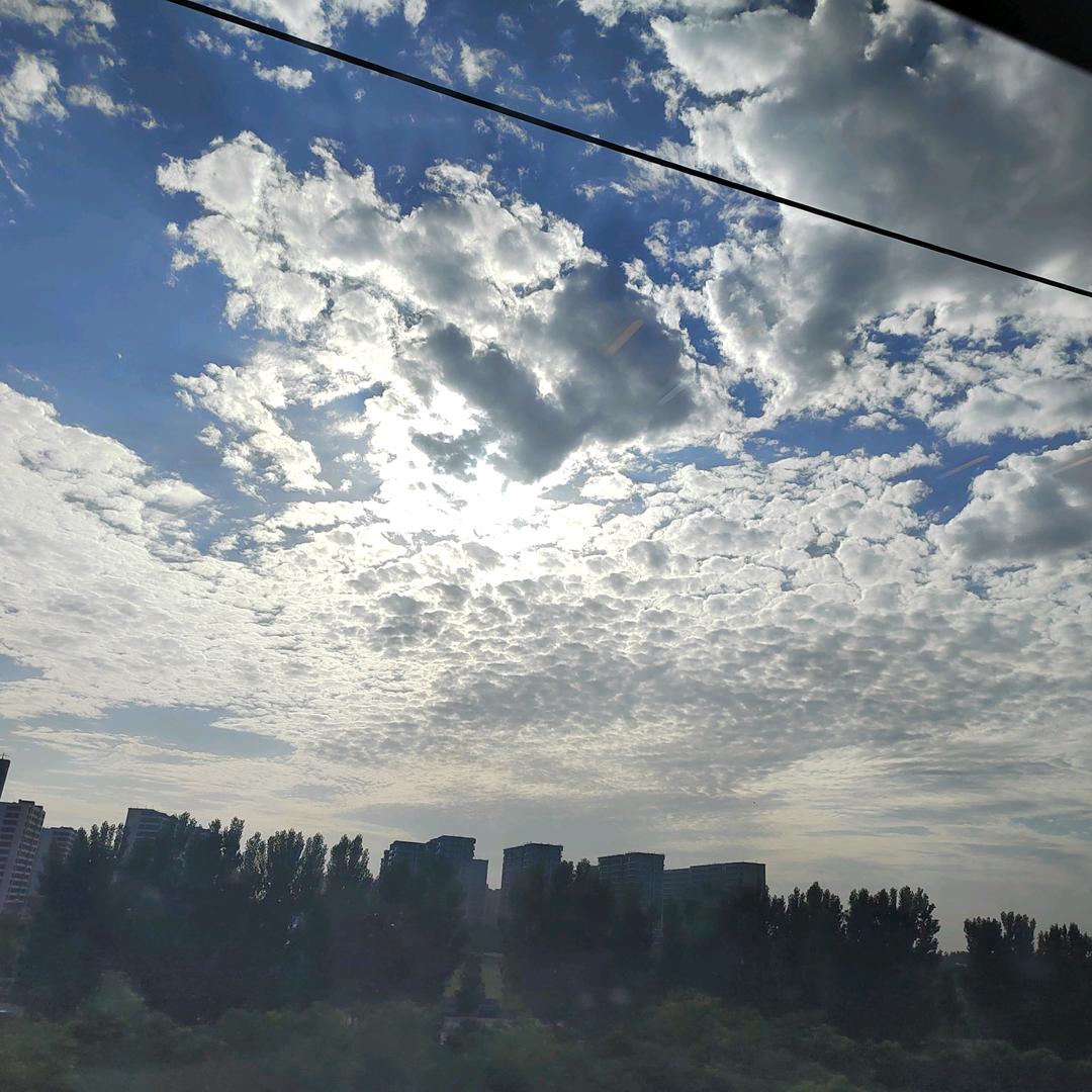 我是闹闹