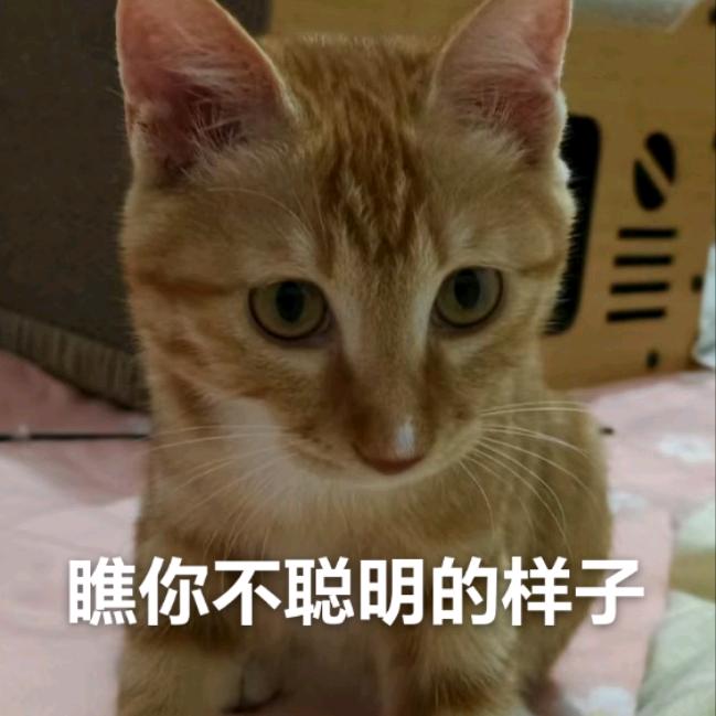 四个铃铛的爱情故事