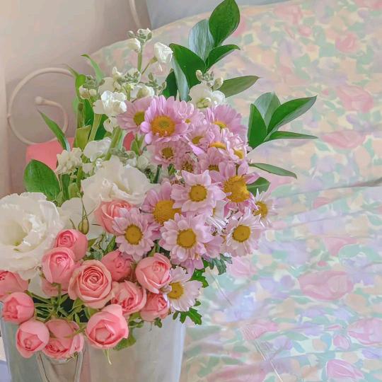 再也没有派大星的那个秋天