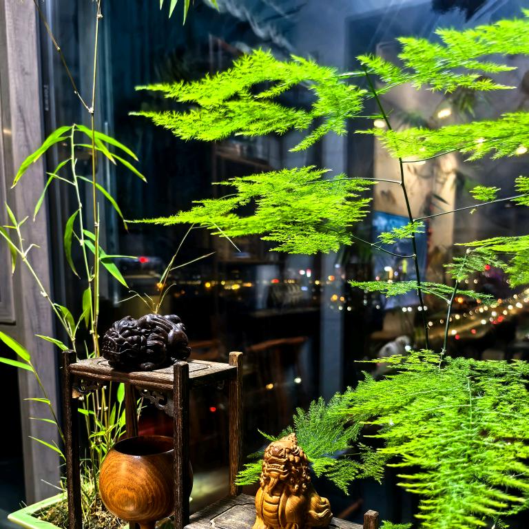 不羁