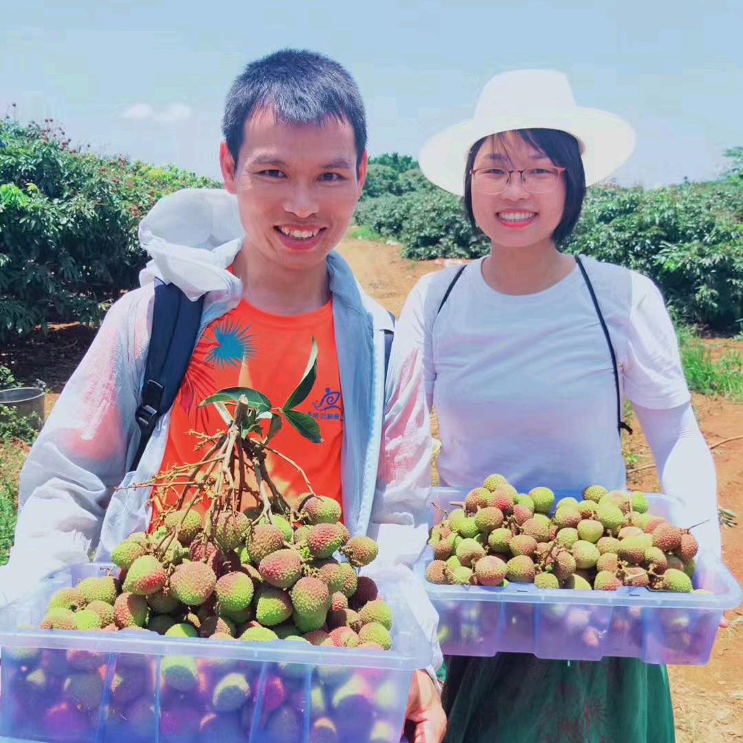 莓目传芹-阿杜少年