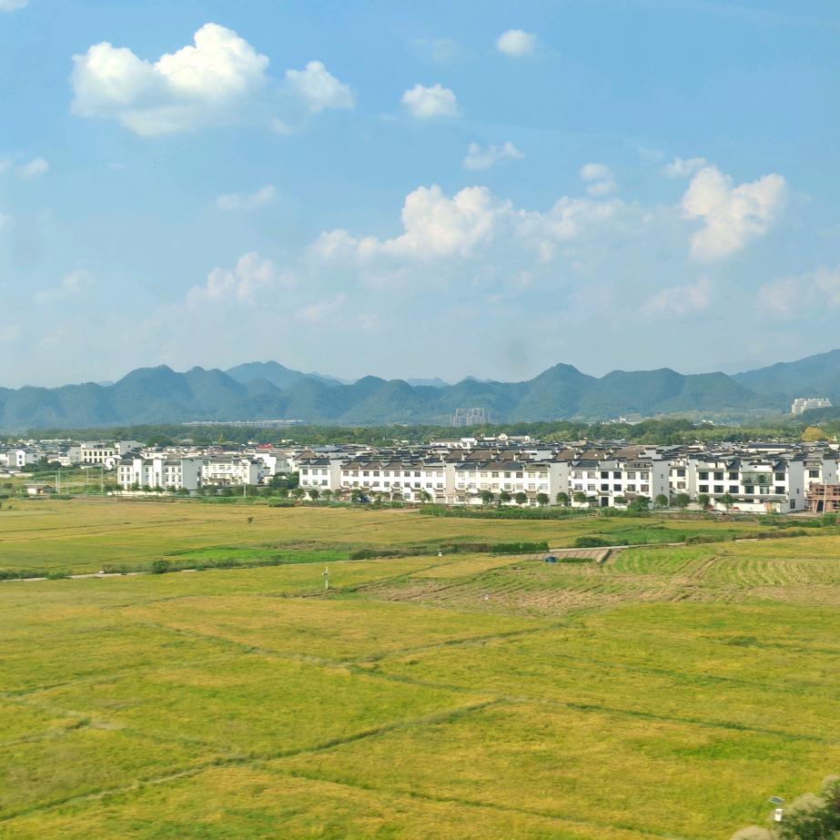 白桃沐晚风