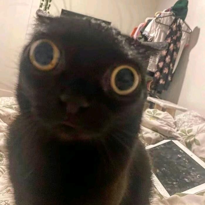 家产好难磕