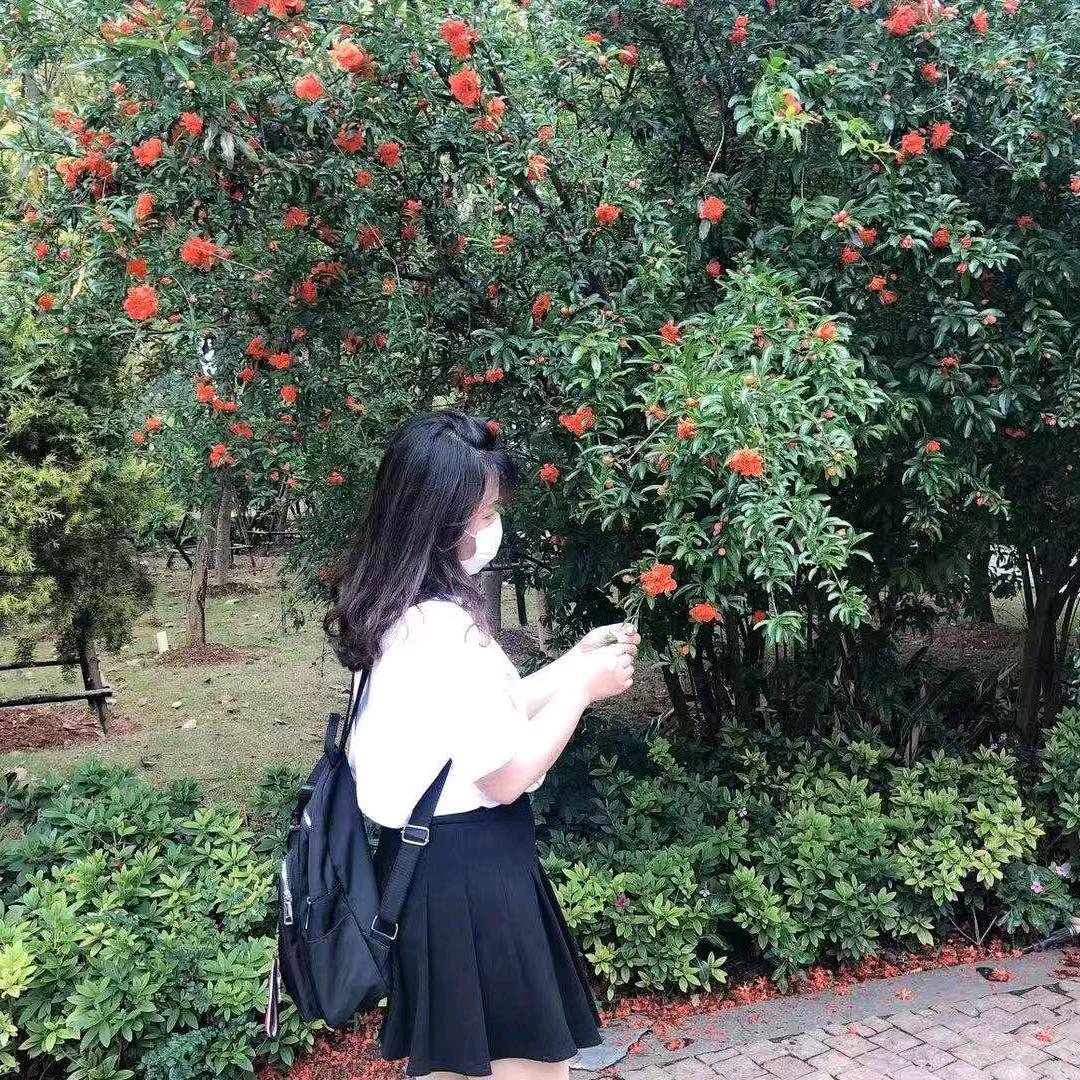 小燕子