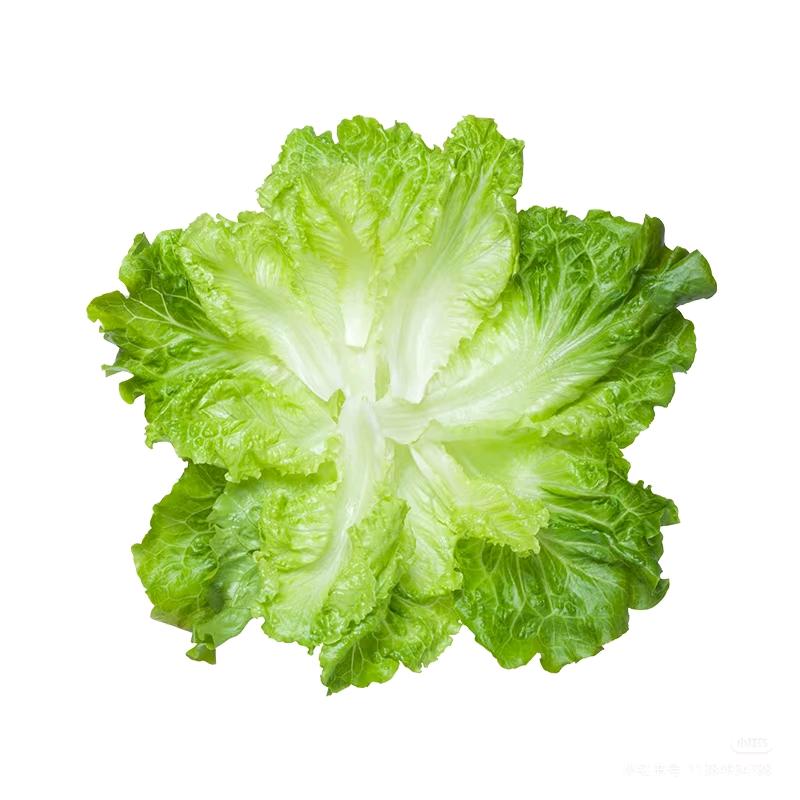 hy