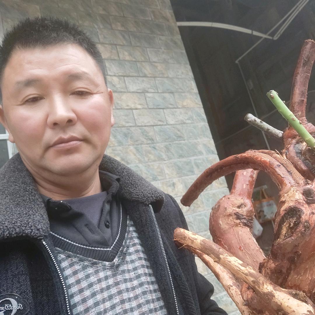 姚哥园艺