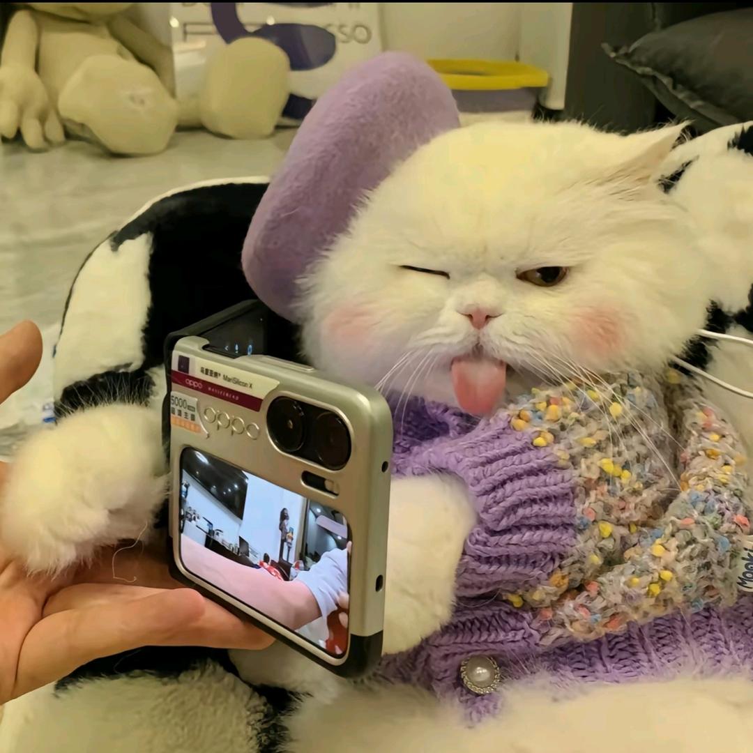 落.