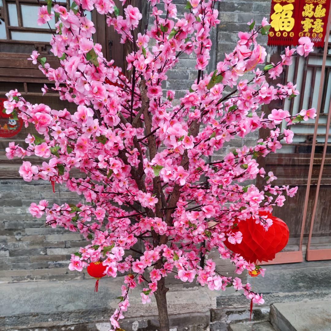 鑫❤️缘