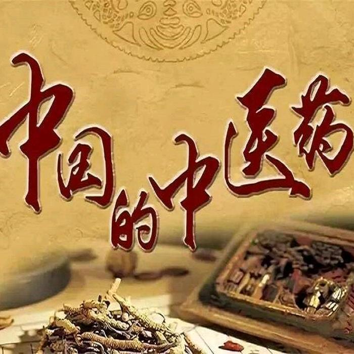 医心向善善