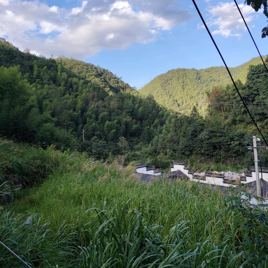 看淡人生