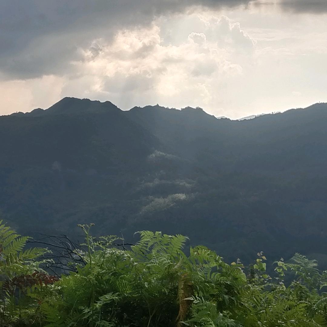 淡᭄ℒꦿྀᦗ࿐漠