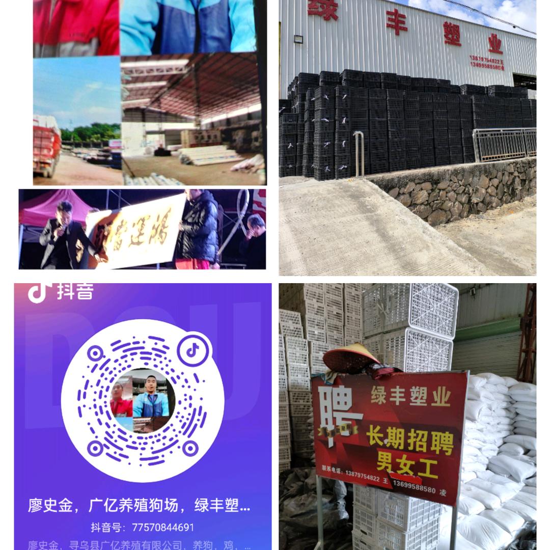 廖史金，寻乌县花旗大酒店主管(20亩水面