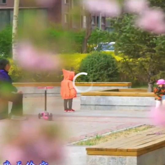 专门收藏垃圾视频