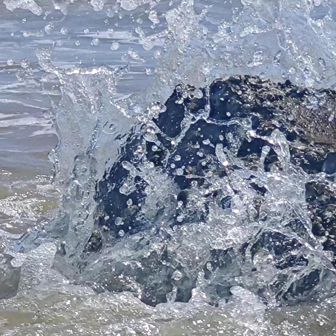 没❤没肺，活着不累