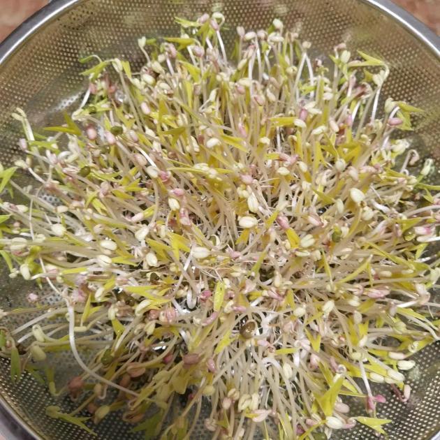 开着拖拉机阉豆芽