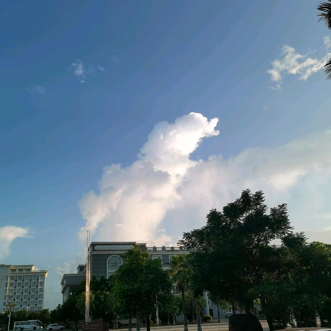 枣