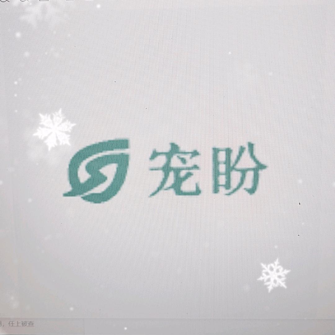 宠伴时光