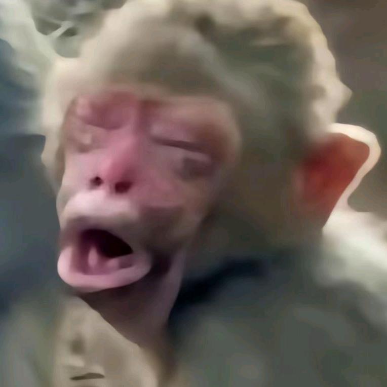 二狗