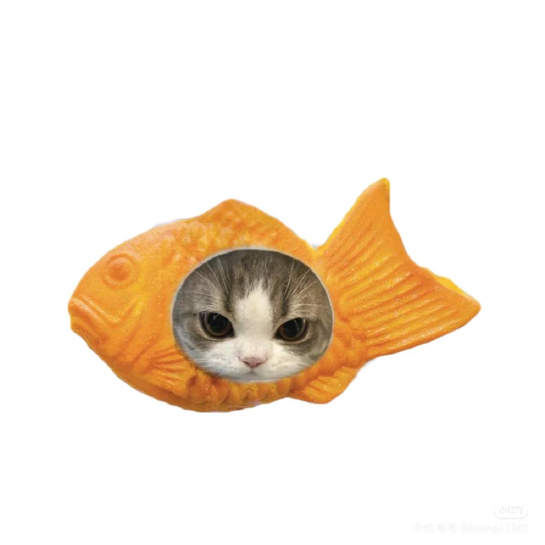 茶叶蛋蛋蛋蛋蛋🥚