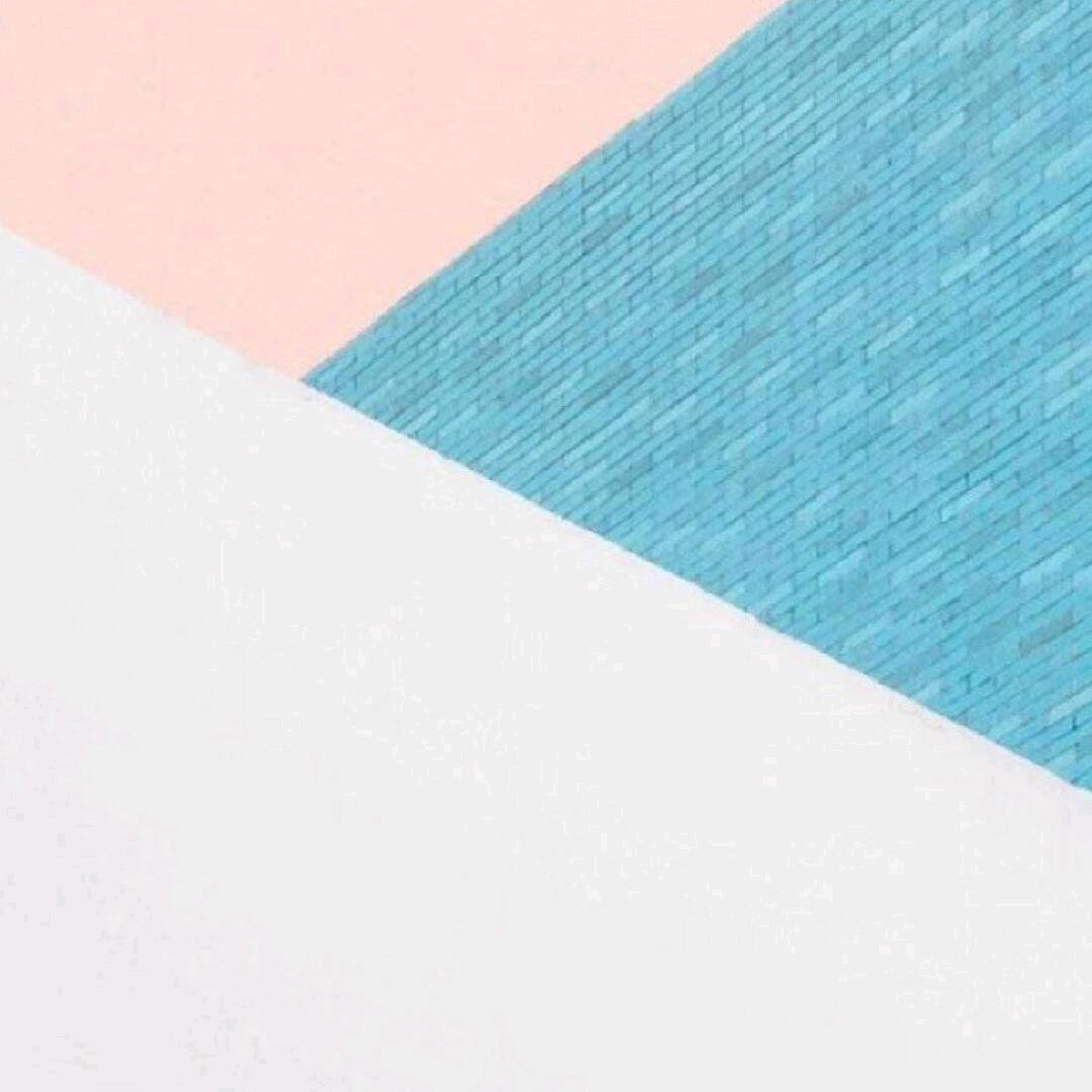 一只人见人爱的懒猫