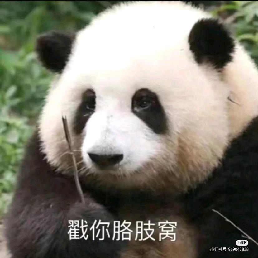 戳你胳肢窝