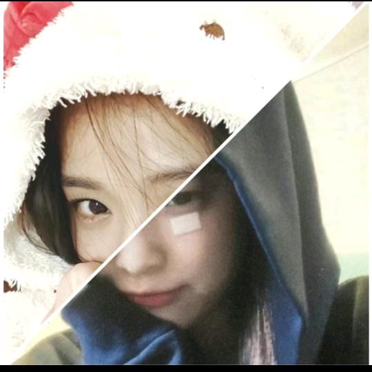 西柚莓瑰夏玫饺子