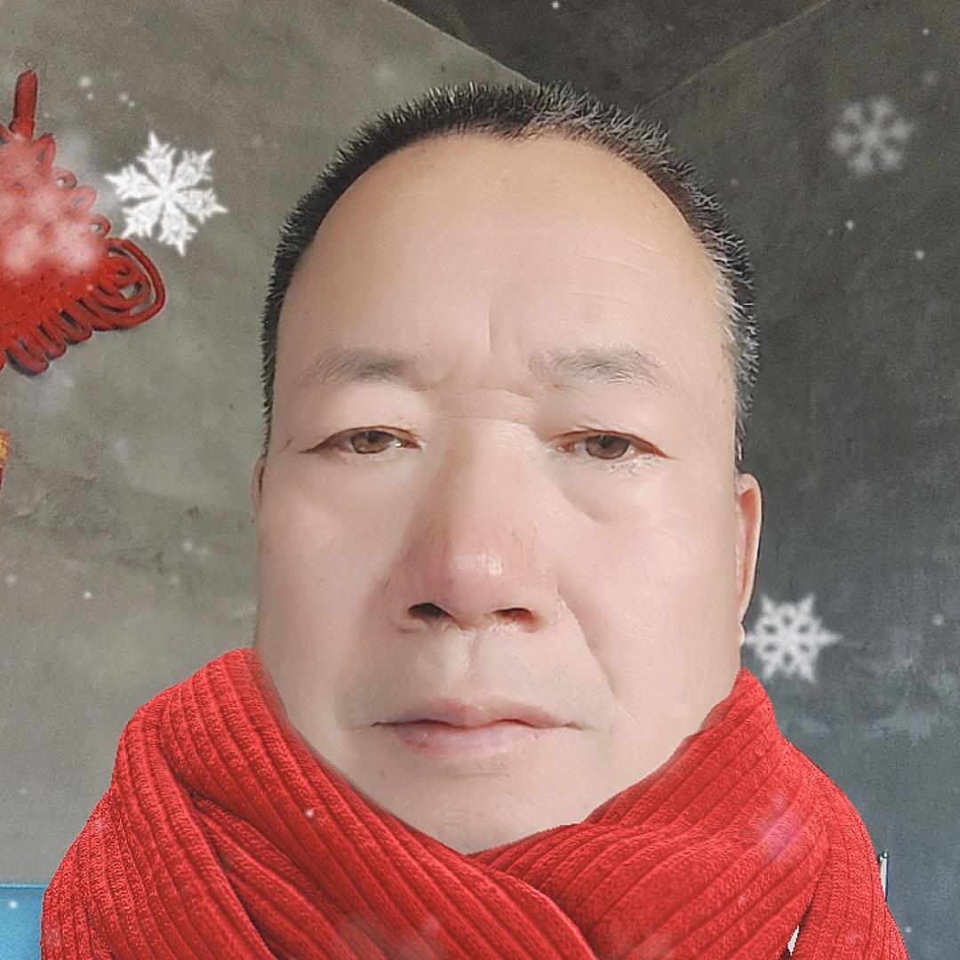 文字飞翔