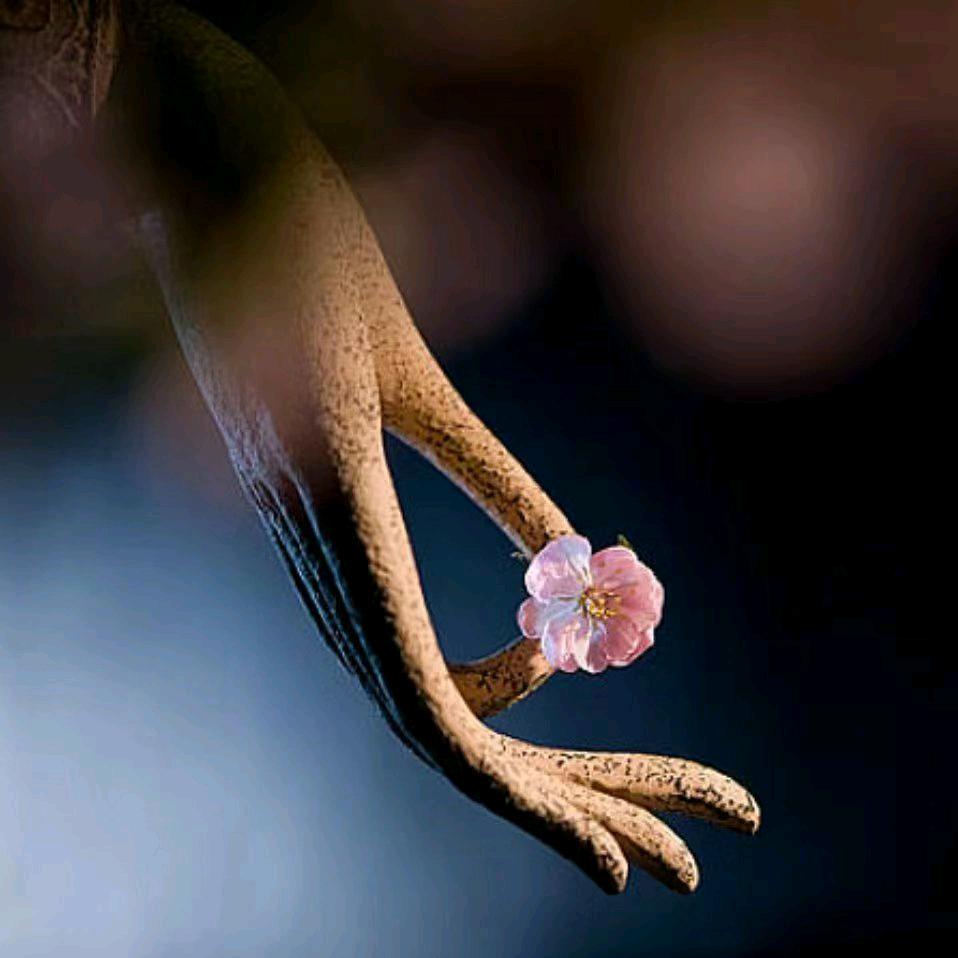 念慈法师（帮孩子安家）