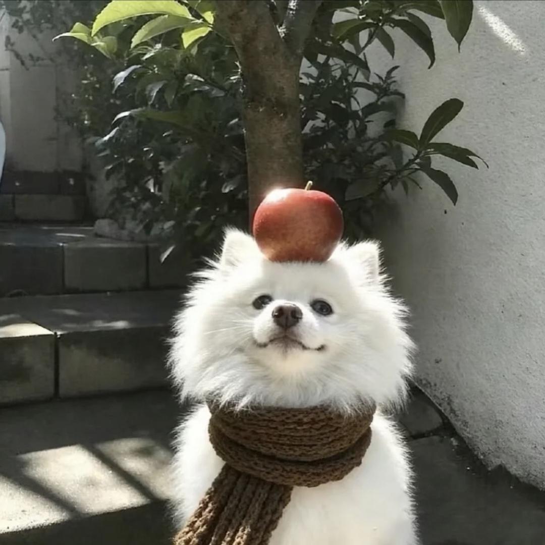 来财来财