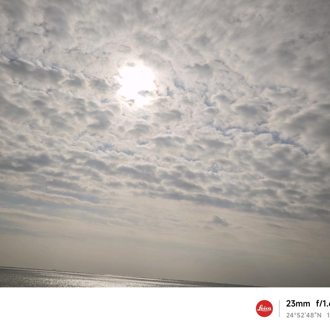 直播推推乐工具定制