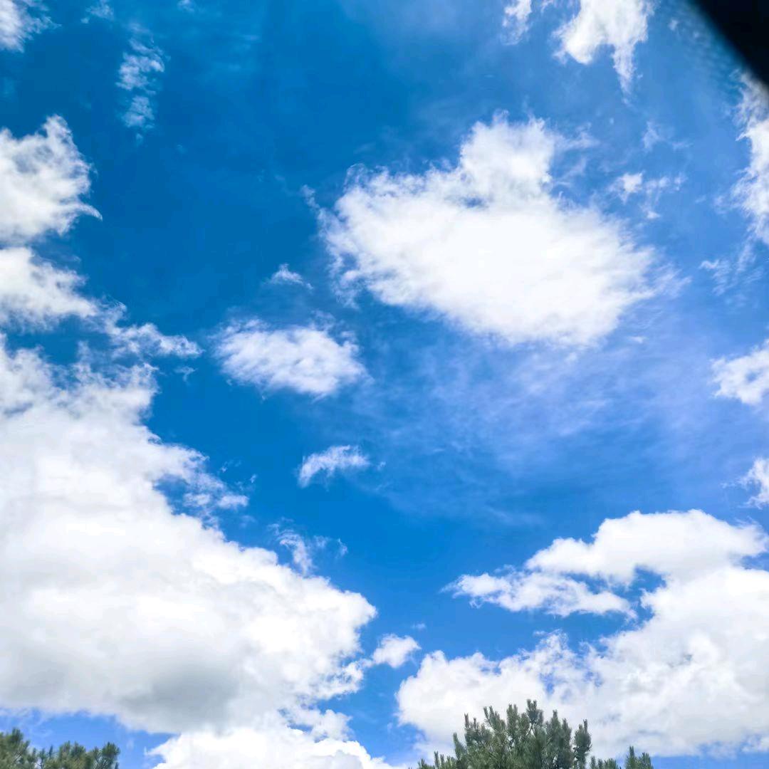 燕麦拿铁❤️⁵²⁰⁸