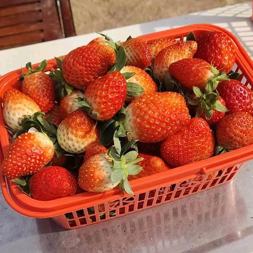 打开，格局，！