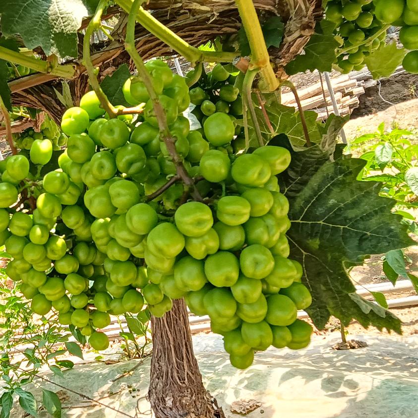 开开心心过好每一天