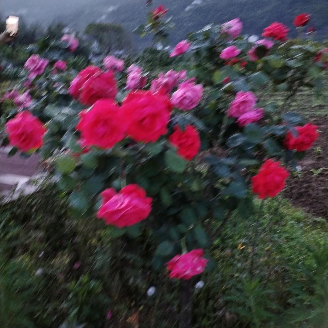 让未来更好
