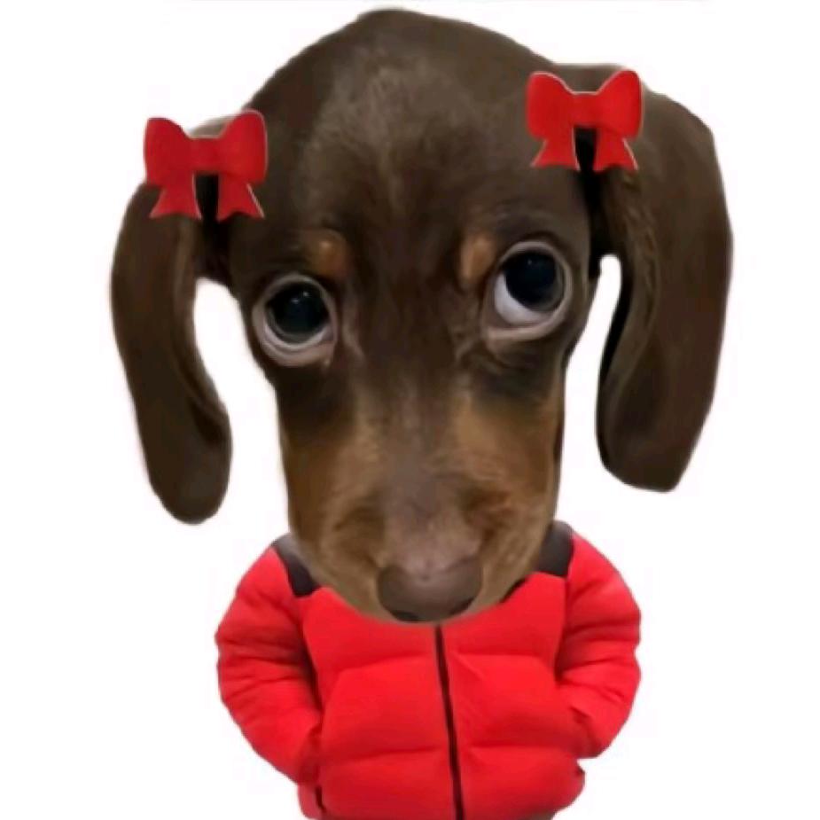 会飞的小野猫./