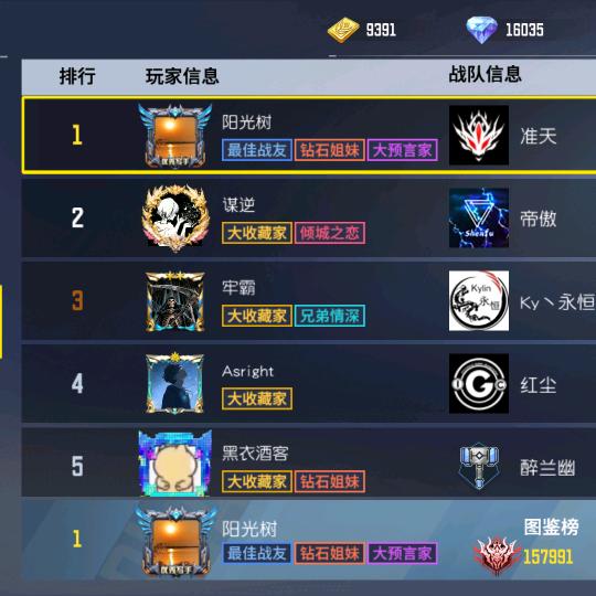 阳光树